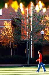 Image of People or Curtin's Bentley Campus