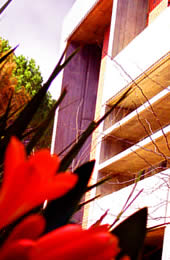 Image of People or Curtin's Bentley Campus